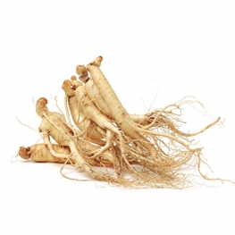 Panax Ginseng Extract