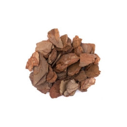 Pine Bark Extract