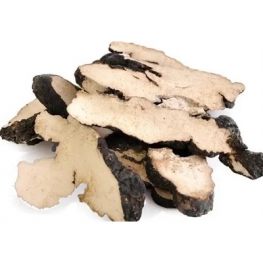 Polyporus Umbellatus Extract