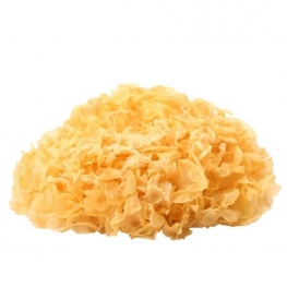 Tremella Fuciformis Extract