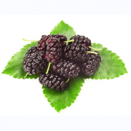 Mulberry Fruit Powder