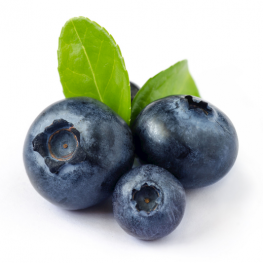 Blueberry Fruit Powder