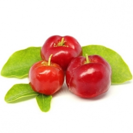 Acerola Cherry Fruit Powder