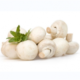 Agaricus Bisporus Extract