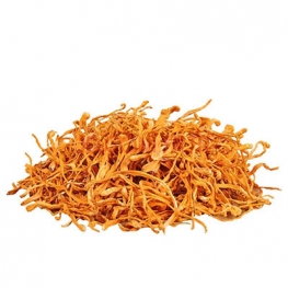 Cordyceps Militaris Extract