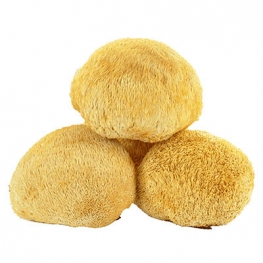 Lion's Mane Mushroom Extract