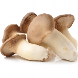 Pleurotus Eryngii Extract