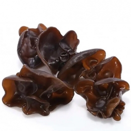 Black Fungus Extract