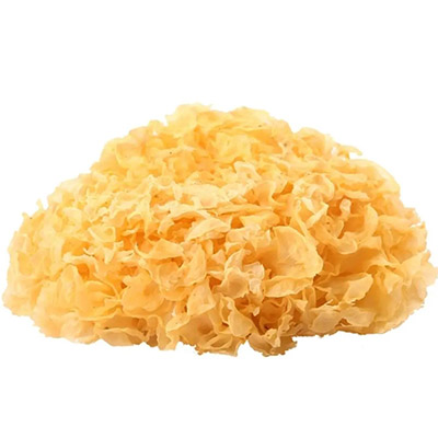 Tremella Fuciformis Extract