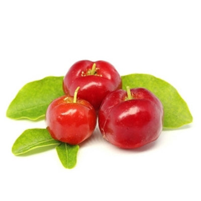 Acerola Cherry Fruit Powder