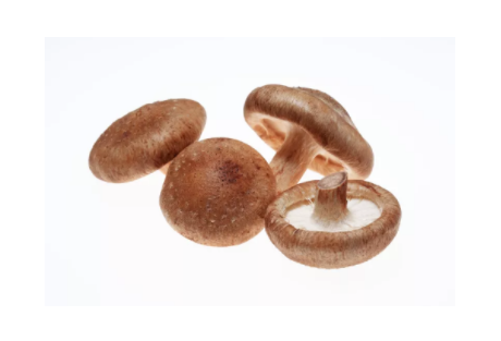 Shiitake Extract