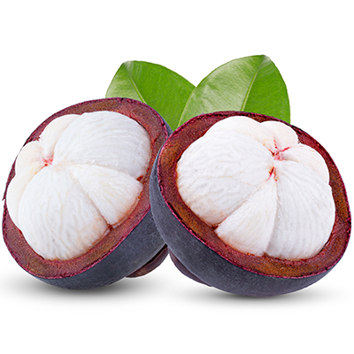 Mangosteen Fruit Powder