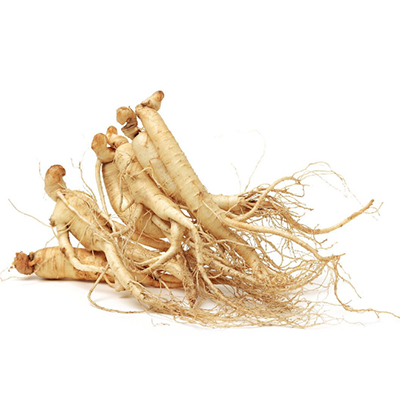 Panax Ginseng Extract