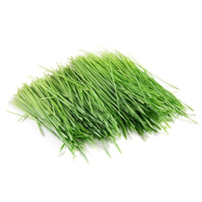 Wheat Grass Juice Powder